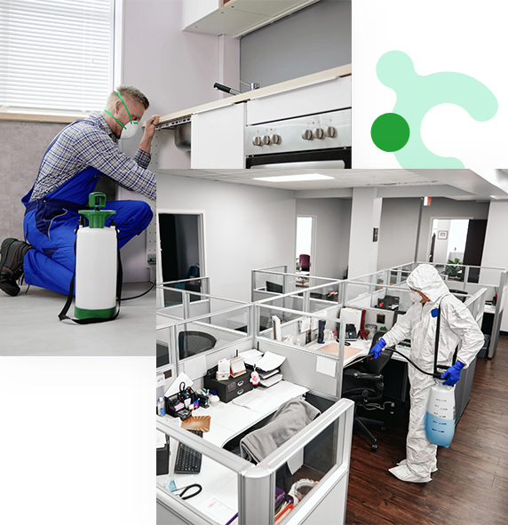 Ev ve ofis alanlarında ilaçlama uygulaması