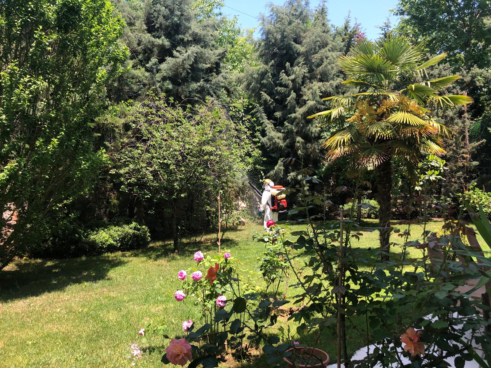 Bahçe alanında ilaçlama uygulaması