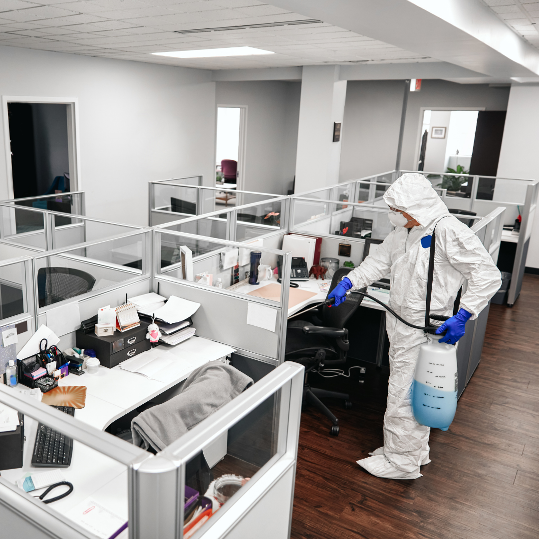 Restoran ve kafe ilaçlama hizmeti